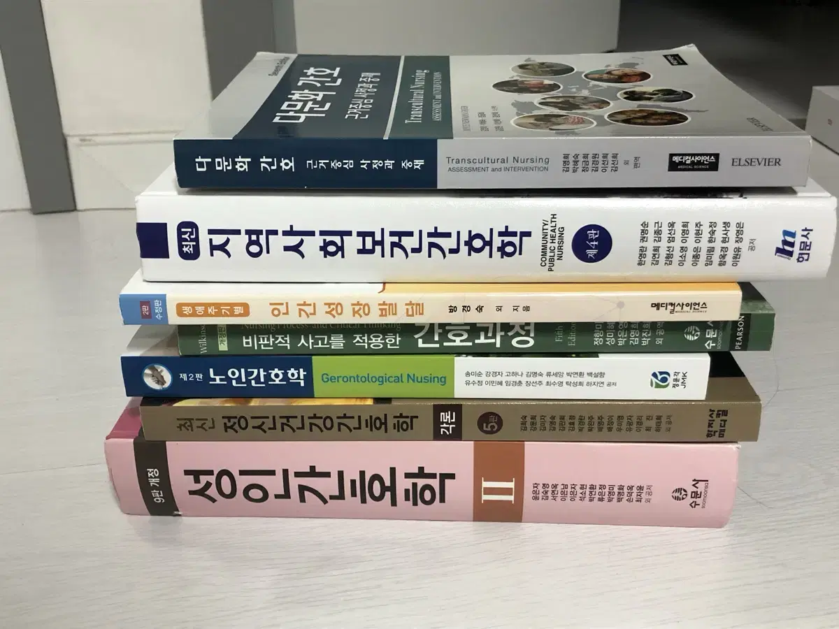 노인간호학, 정신건강간호학, 성인간호학, 다문화간호, 지역사회보건간호학,